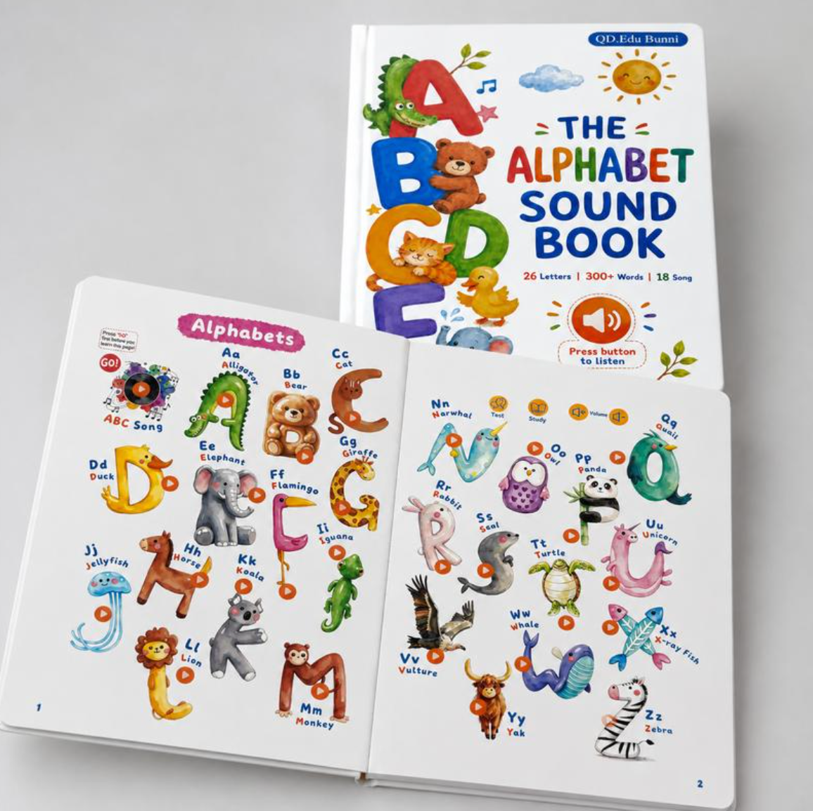 Leveled Reading Sound Books